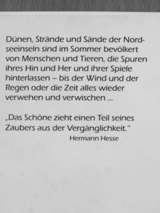 Georg Quedens - Spuren im Sand... Spuren des Lebens [antikvár]