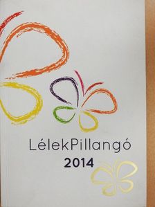 Gáspár Katalin - LélekPillangó 2014 - 2 db DVD-vel [antikvár]