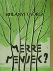 Bulányi György - Merre menjek? [antikvár]