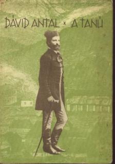 DÁVID ANTAL - A tanú [antikvár]