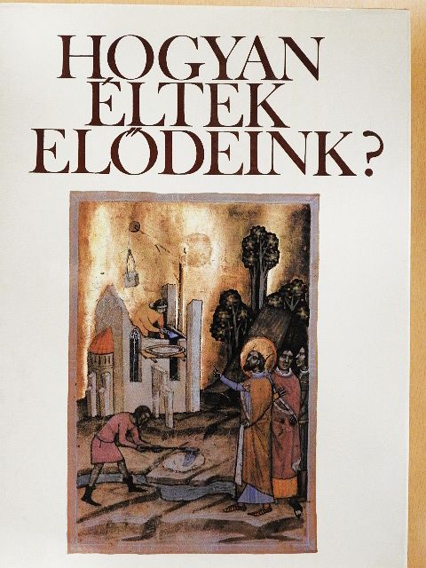 Bibó István - Hogyan éltek elődeink? [antikvár]