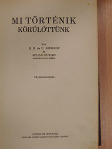 Andrade - Mi történik körülöttünk [antikvár]