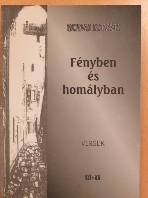 Budai István - Fényben és homályban (dedikált példány) [antikvár]