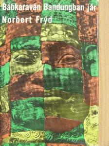 Norbert Fryd - Bábkaraván Bandungban jár [antikvár]