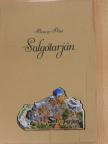 Salgótarján [antikvár]