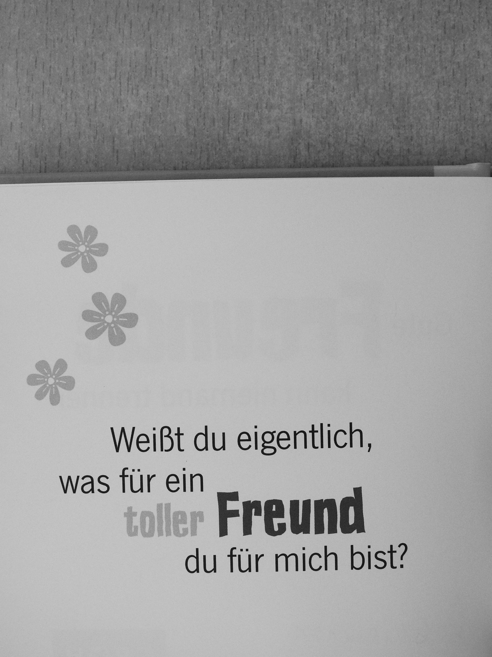 Klara Sophie Lechner - Gute Freunde kann niemand trennen [antikvár]