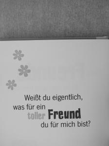 Klara Sophie Lechner - Gute Freunde kann niemand trennen [antikvár]