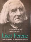 László Zsigmond - Liszt Ferenc [antikvár]
