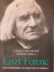 László Zsigmond - Liszt Ferenc [antikvár]