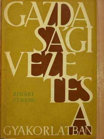 Bihari Ferenc - Gazdasági vezetés a gyakorlatban [antikvár]