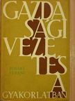 Bihari Ferenc - Gazdasági vezetés a gyakorlatban [antikvár]