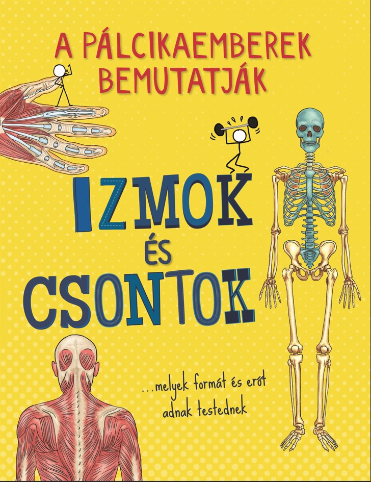 A pálcikaemberek bemutatják: Izmok és csontok