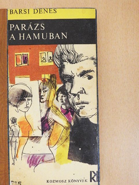 Barsi Dénes - Parázs a hamuban [antikvár]