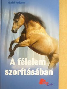 Gabi Adam - A félelem szorításában [antikvár]