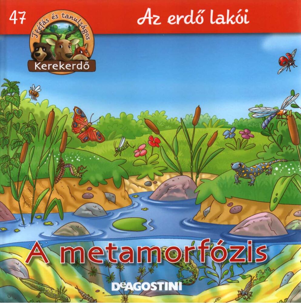 Feryal Kanbay, Stephan Gürtler - A metamorfózis [antikvár]