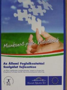 Adler Judit - Munkaerő-piaci kutatások [antikvár]