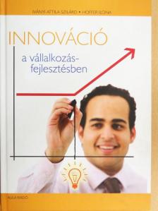 Hoffer Ilona - Innováció a vállalkozásfejlesztésben [antikvár]