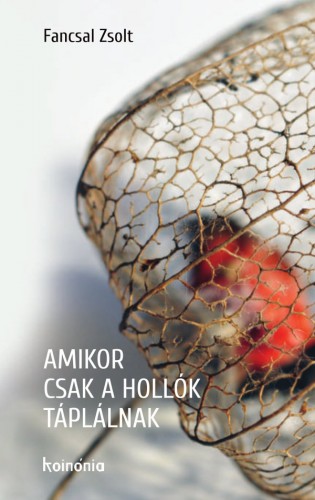 Zsolt Fancsal - Amikor csak a hollók táplálnak [eKönyv: epub, mobi]