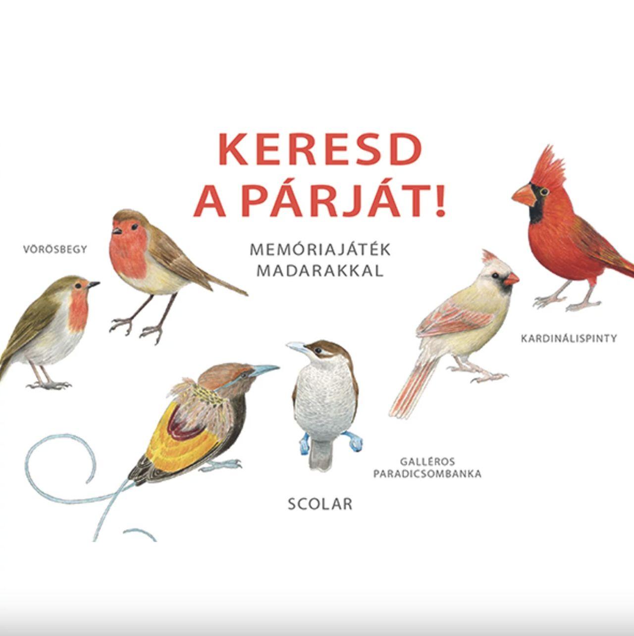 Inca Starzinsky (design) - Keresd a párját! - Memóriajáték madarakkal