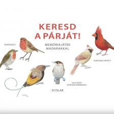 Inca Starzinsky (design) - Keresd a párját! - Memóriajáték madarakkal