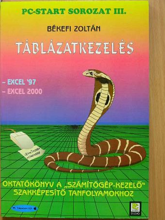 Békefi Zoltán - Táblázatkezelés [antikvár]