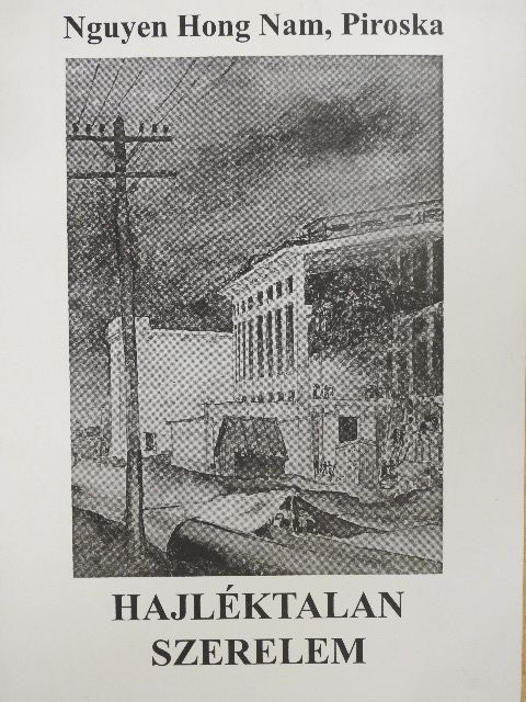 Nguyen Hong Nam Piroska - Hajléktalan szerelem [antikvár]