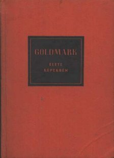 VÁRNAI PÉTER - Goldmark élete képekben [antikvár]