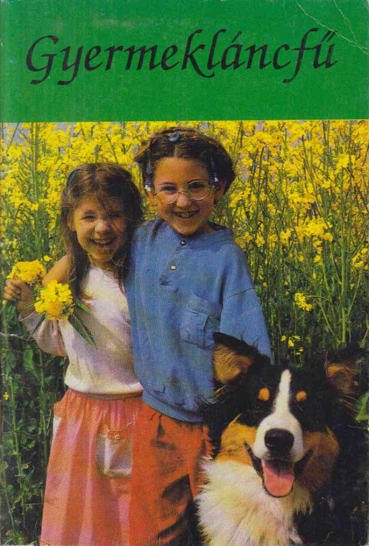 KÁRPÁTI PETRONELLA - Gyermekláncfű 1. [antikvár]