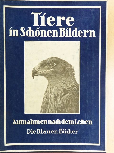Tiere in Schönen Bildern (gótbetűs) [antikvár]