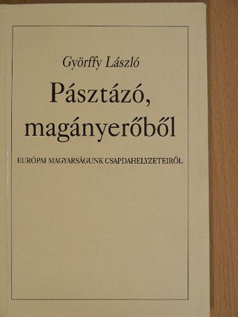 Györffy László - Pásztázó, magányerőből [antikvár]
