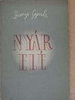 Danyi Gyula - Nyár elé [antikvár]