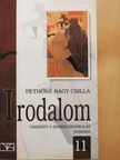Pethőné Nagy Csilla - Irodalom 11. [antikvár]