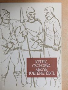 Dr. Bálint Alajos - Képek Csongrád megye történetéből [antikvár]