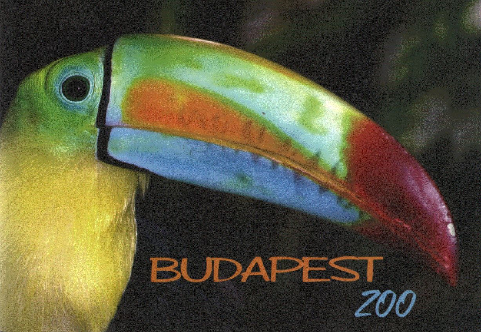 Hanga Zoltán - Budapest Zoo [antikvár]