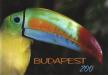 Hanga Zoltán - Budapest Zoo [antikvár]