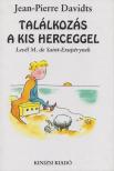 Davidts, Jean-Pierre - Találkozás a kis herceggel [antikvár]