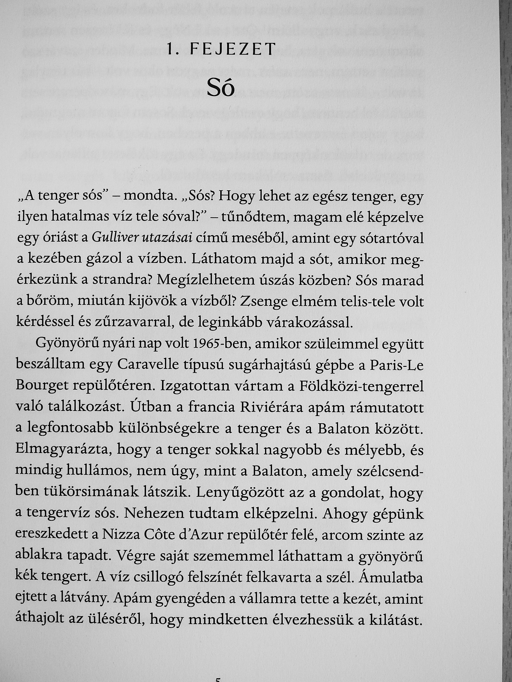 Hatvany Helga - Viharos idők [antikvár]