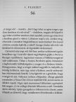 Hatvany Helga - Viharos idők [antikvár]