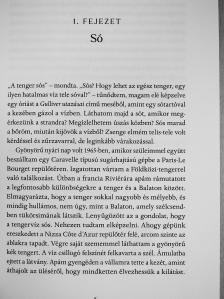 Hatvany Helga - Viharos idők [antikvár]