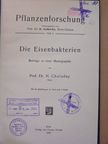 Prof. Dr. N. Cholodny - Die Eisenbakterien [antikvár]
