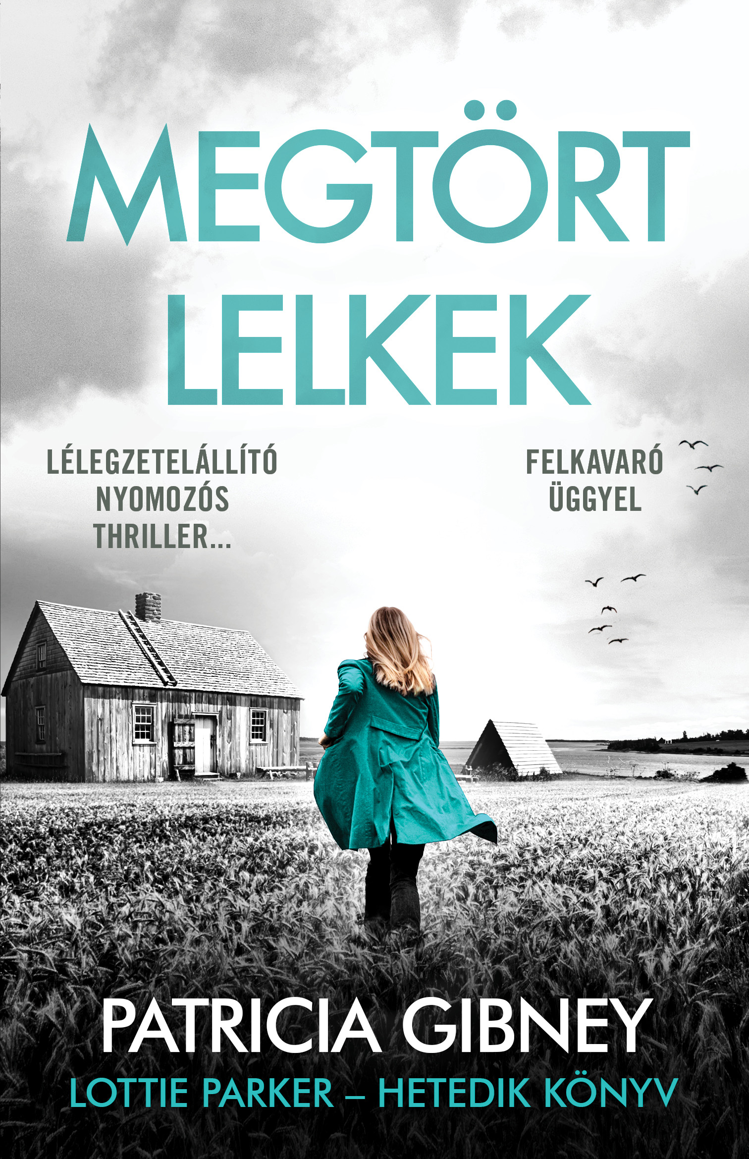 Patricia Gibney - Megtört lelkek