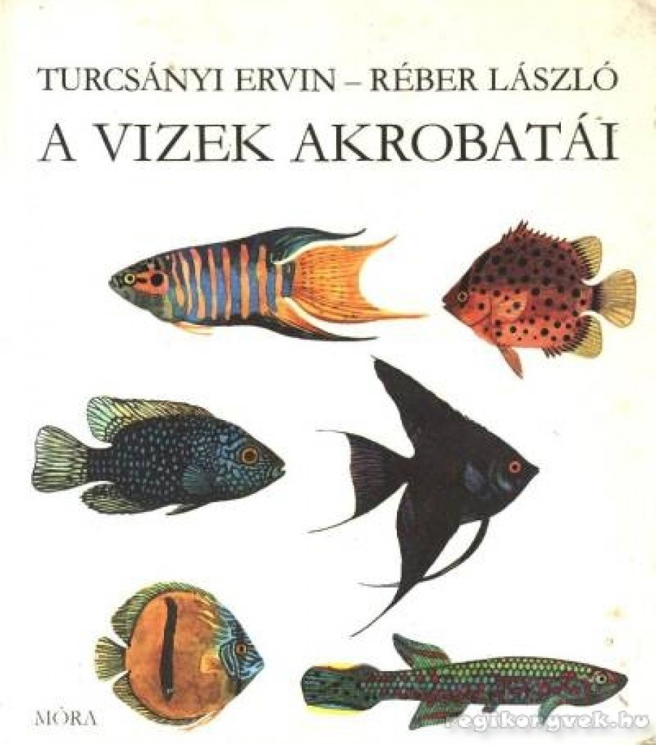 Turcsányi Ervin - A vizek akrobatái [antikvár]