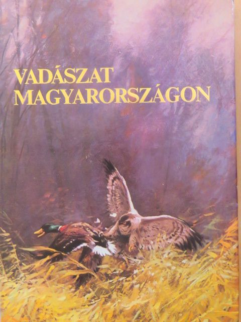 Ballagó László - Vadászat Magyarországon [antikvár]