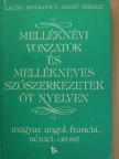 Laczik Mária - Melléknévi vonzatok és mellékneves szószerkezetek öt nyelven [antikvár]