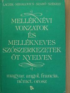 Laczik Mária - Melléknévi vonzatok és mellékneves szószerkezetek öt nyelven [antikvár]