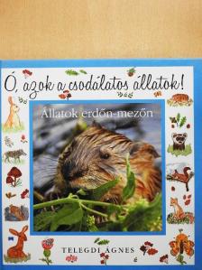 Telegdi Ágnes - Állatok erdőn-mezőn [antikvár]