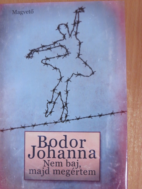 Bodor Johanna - Nem baj, majd megértem [antikvár]