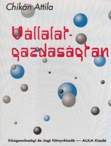 Chikán Attila - Vállalatgazdaságtan [antikvár]