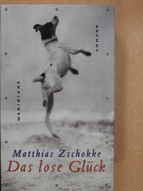 Matthias Zschokke - Das lose Glück [antikvár]