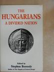 Dávid Zoltán - The Hungarians: A Divided Nation [antikvár]